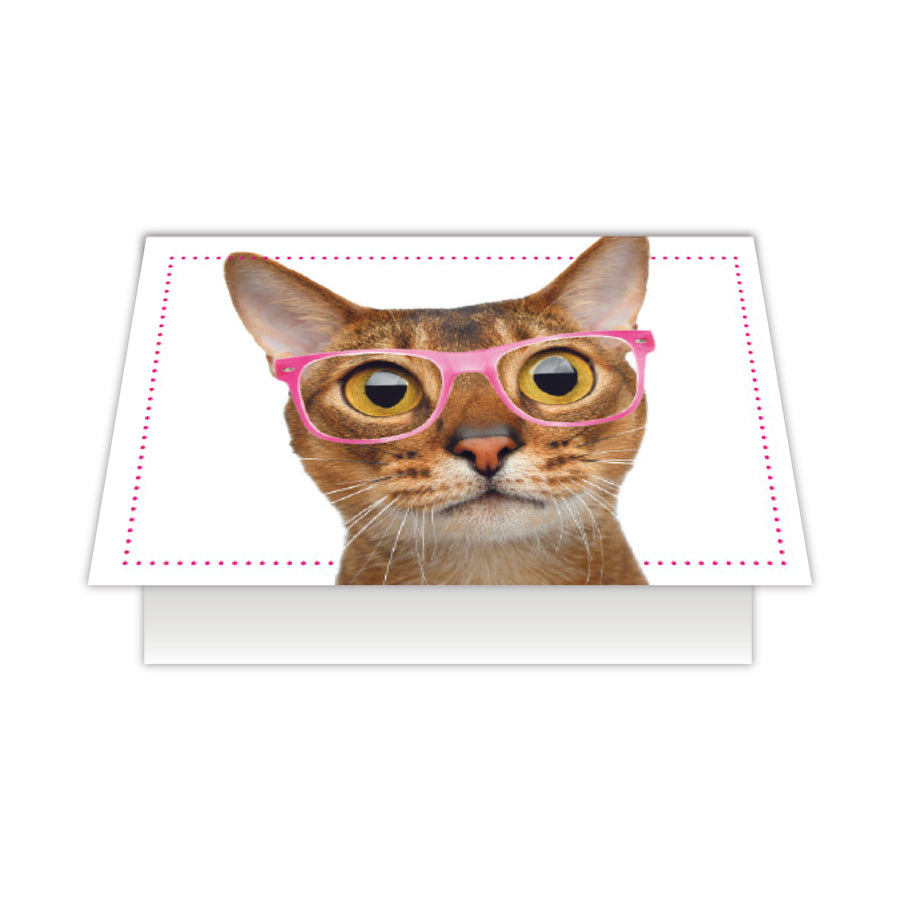 Birthday Cat Card -You Look  Meowvelous