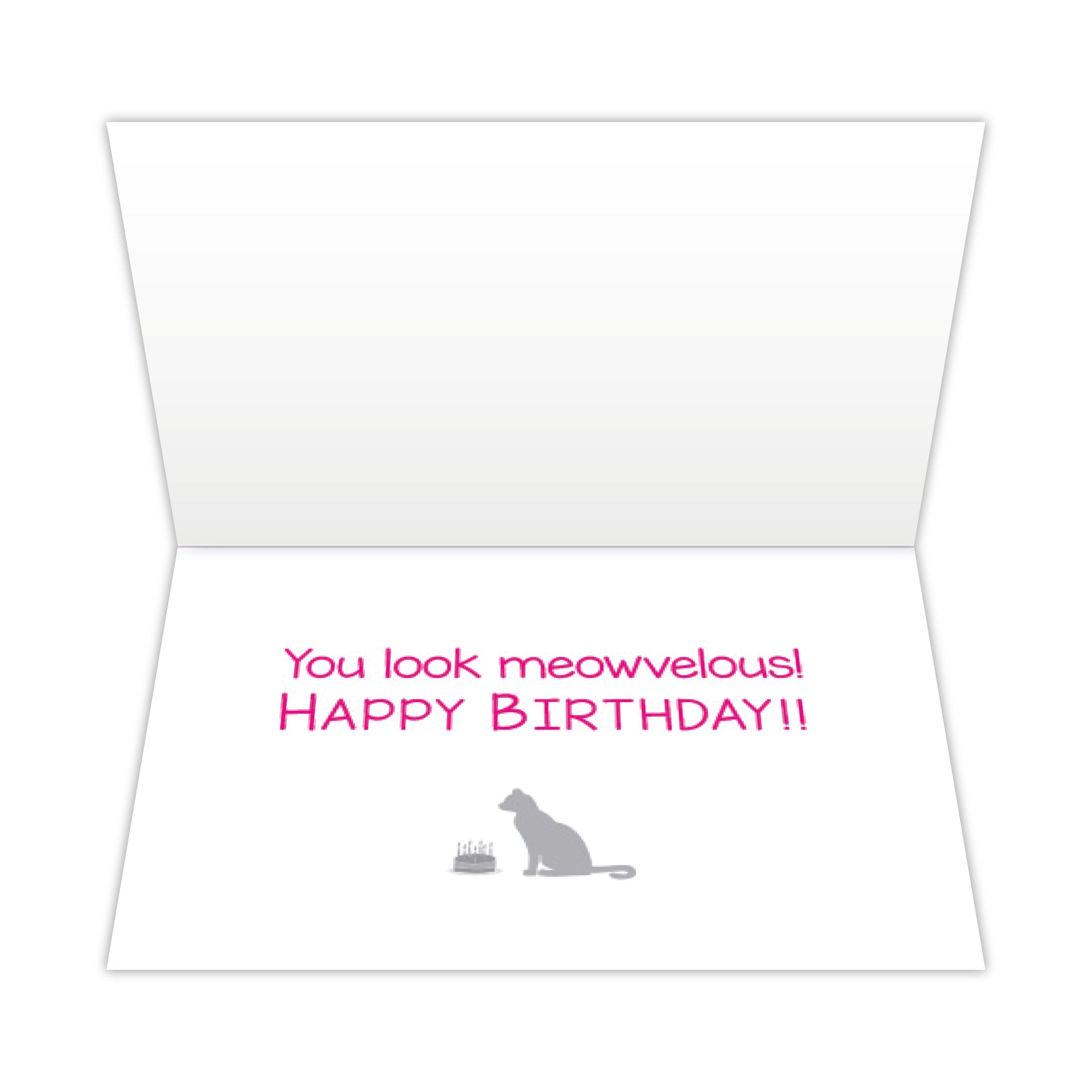 Birthday Cat Card -You Look  Meowvelous