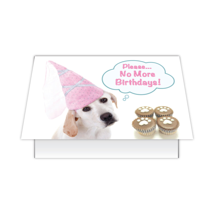 Birthday - Please, No More Birthdays