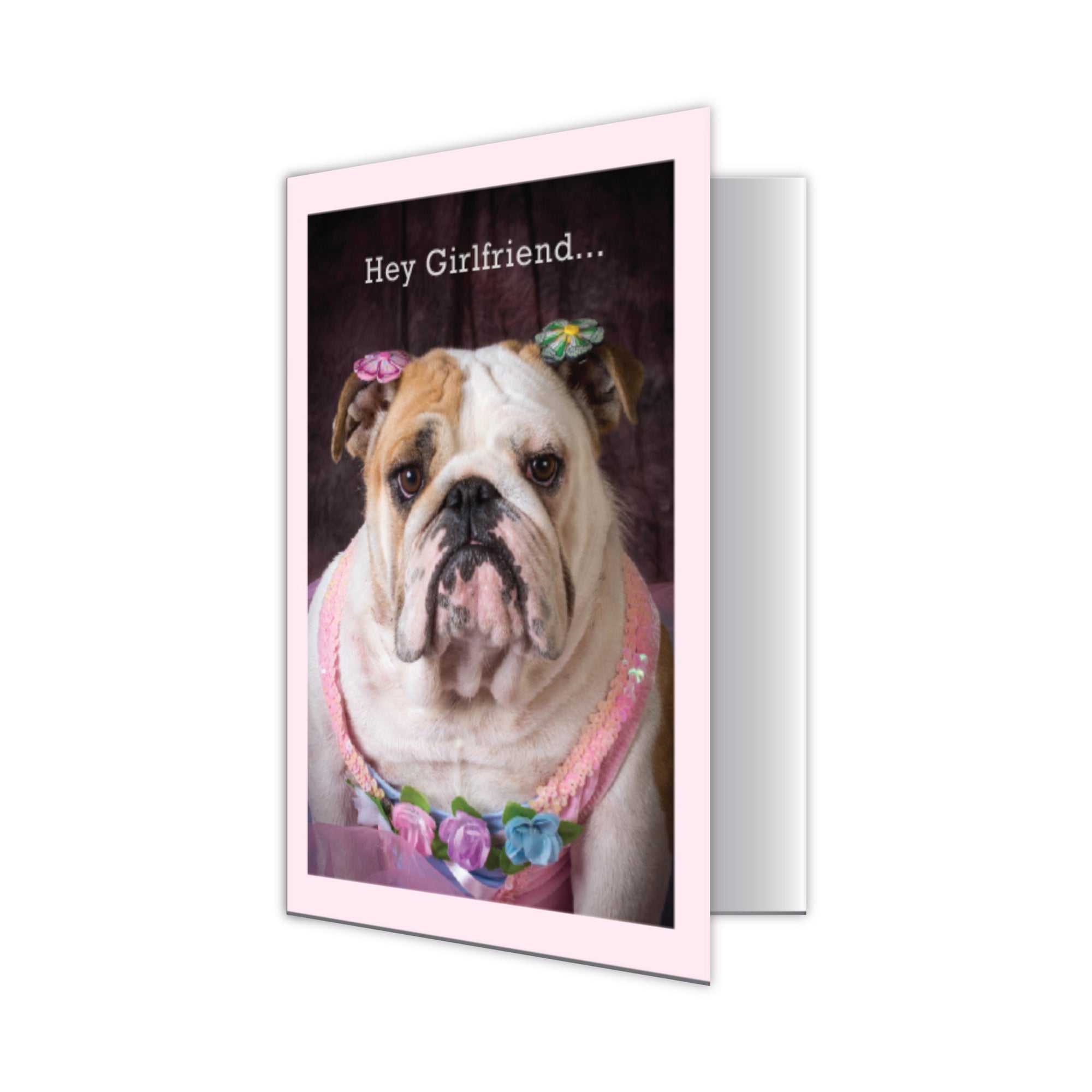 Birthday Card-Dogs Make Me Happy, People Not So Much | Dog Speak Cards birthday-card-dogs-make-me-happy-people-not-so-much-dog-speak-cards