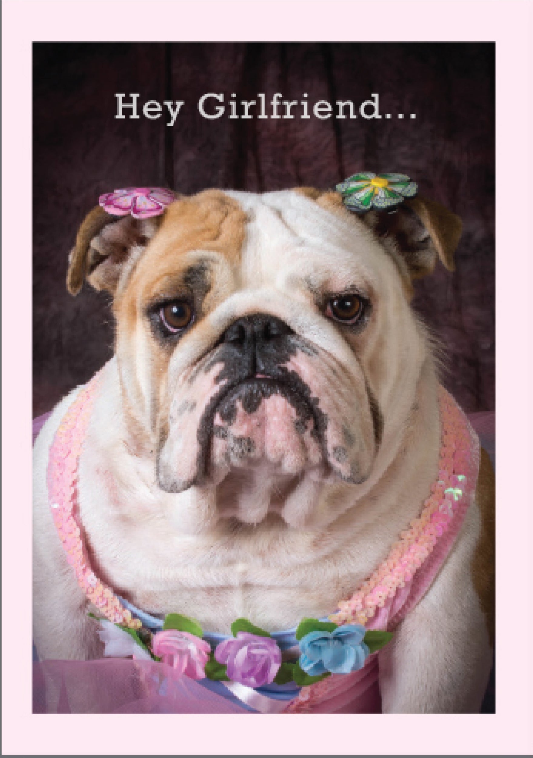 Birthday - You Still Rock It!