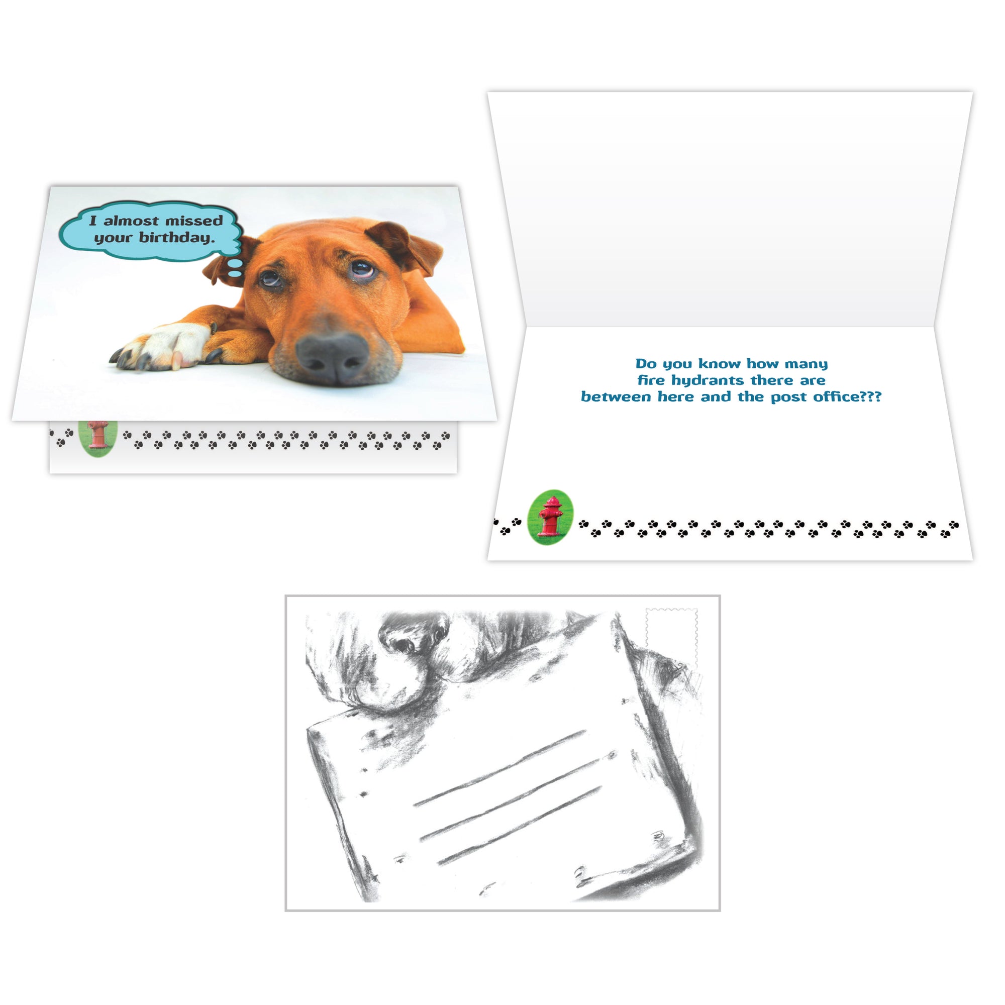 Birthday - I almost missed your birthday