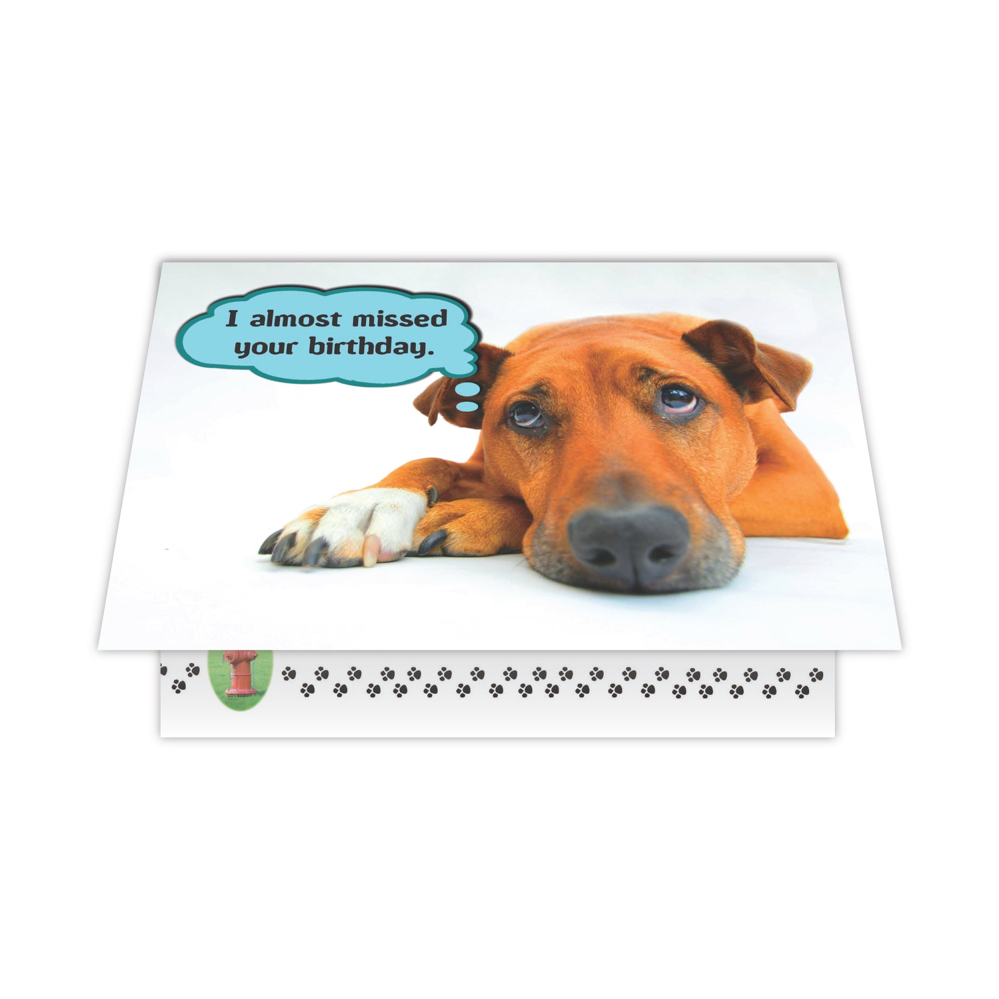 Birthday - I almost missed your birthday