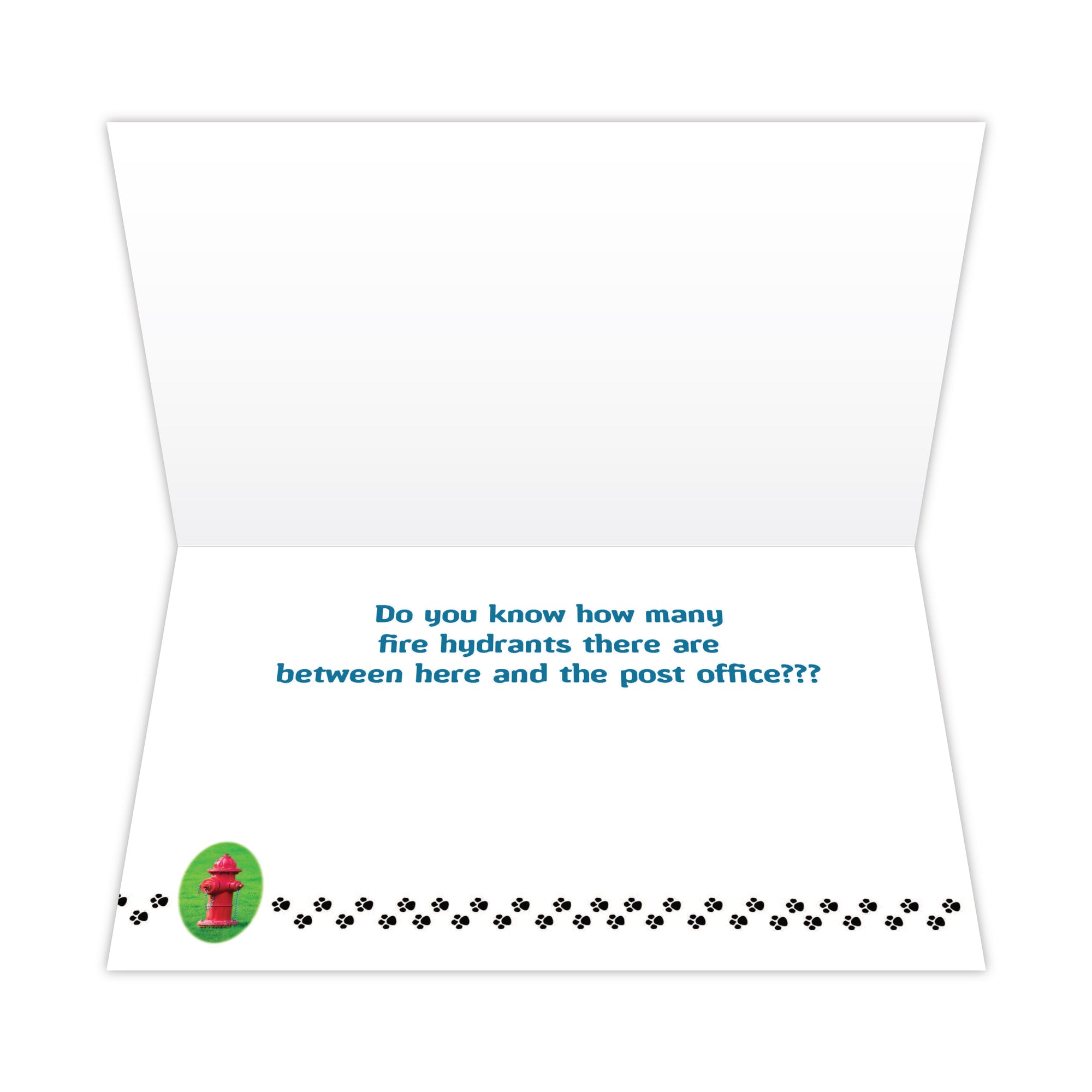 Birthday - I almost missed your birthday