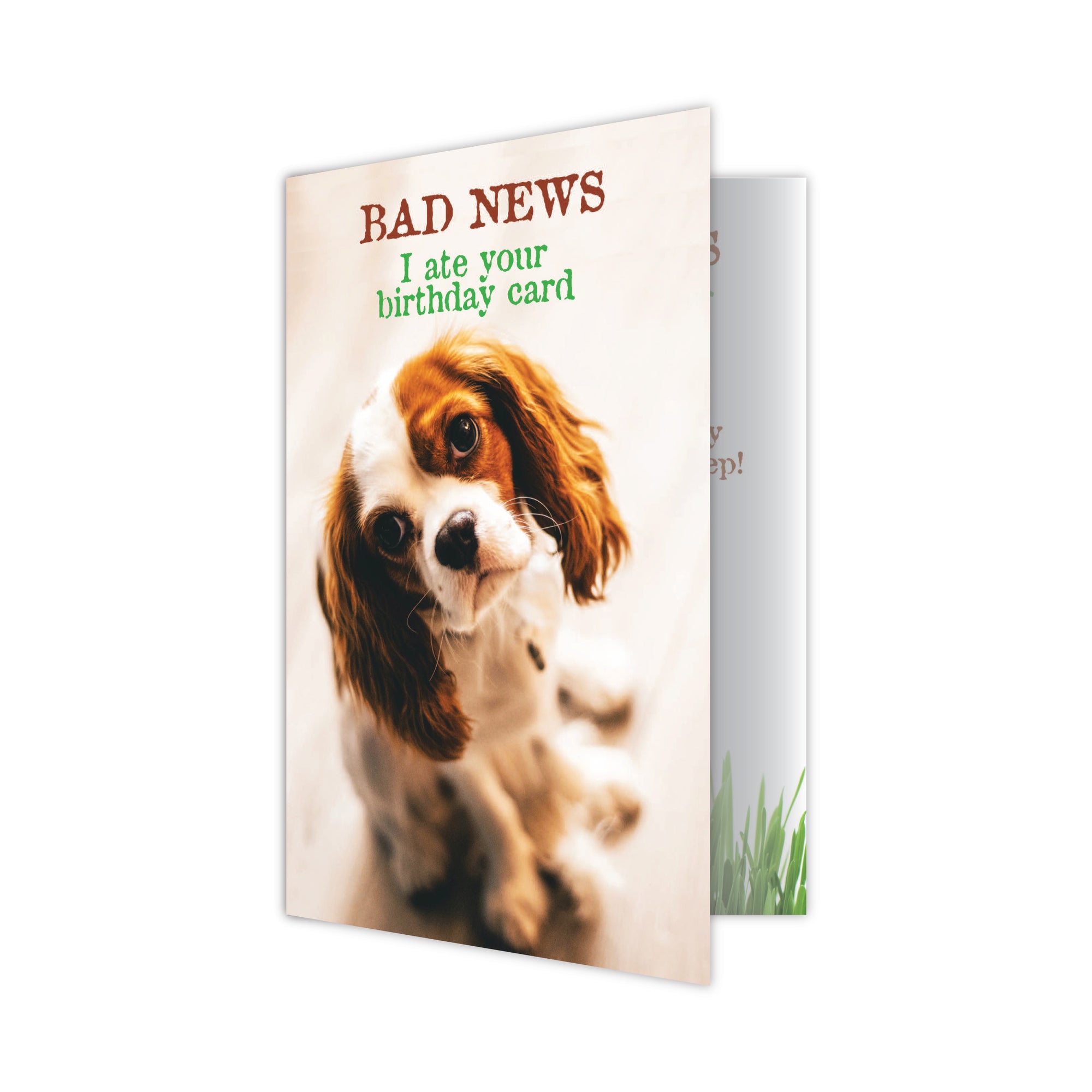 Birthday - BAD NEWS I ate your birthday card