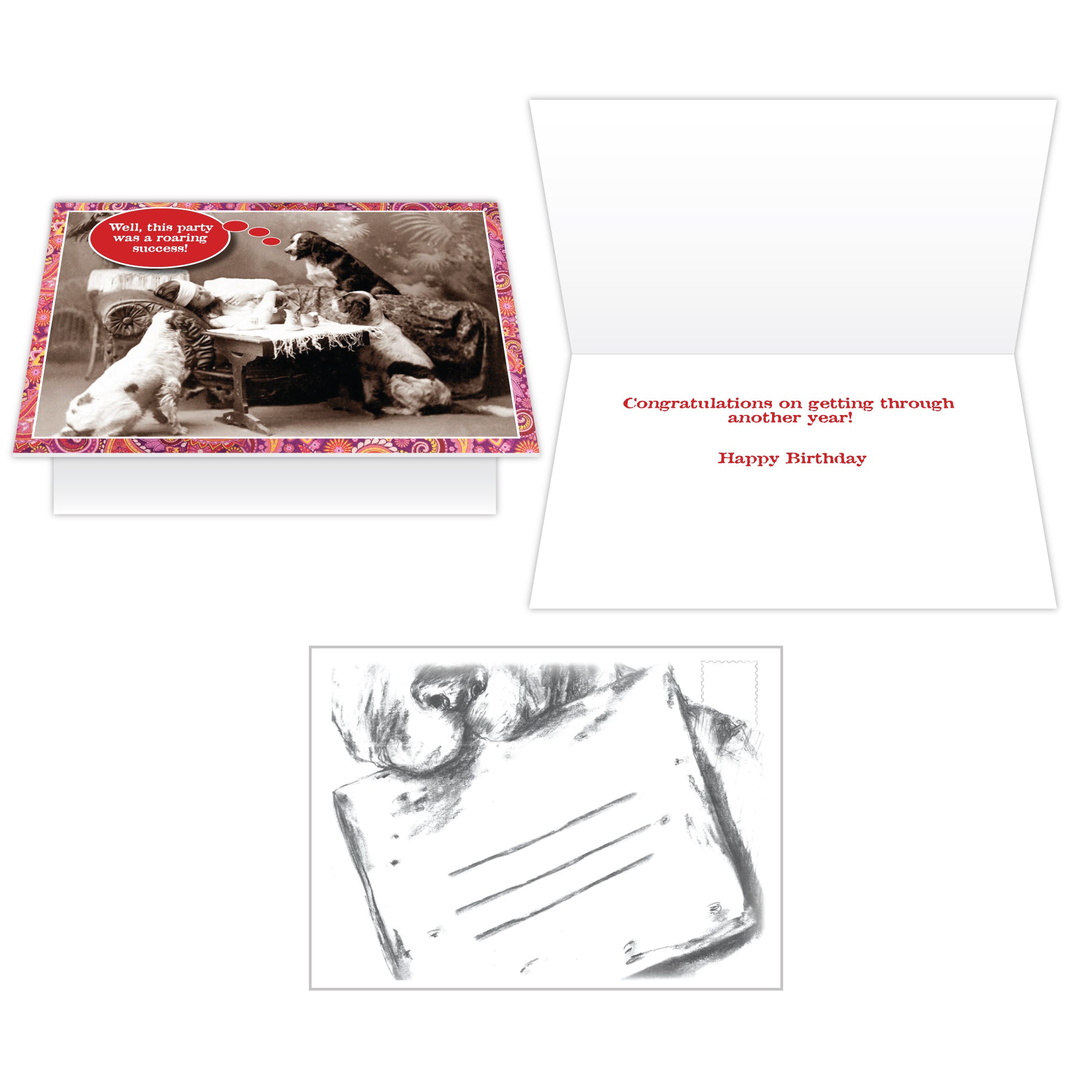 Birthday - Well, this party was a roaring success!