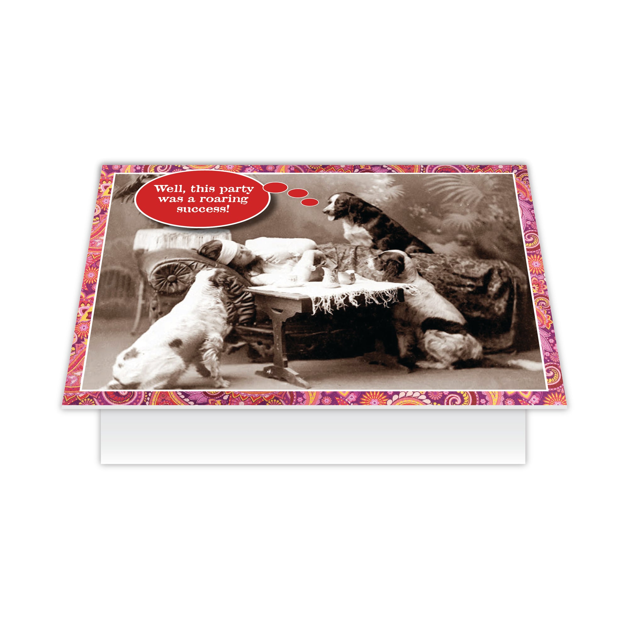 Birthday - Well, this party was a roaring success!