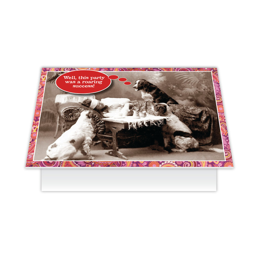 Birthday - Well, this party was a roaring success!