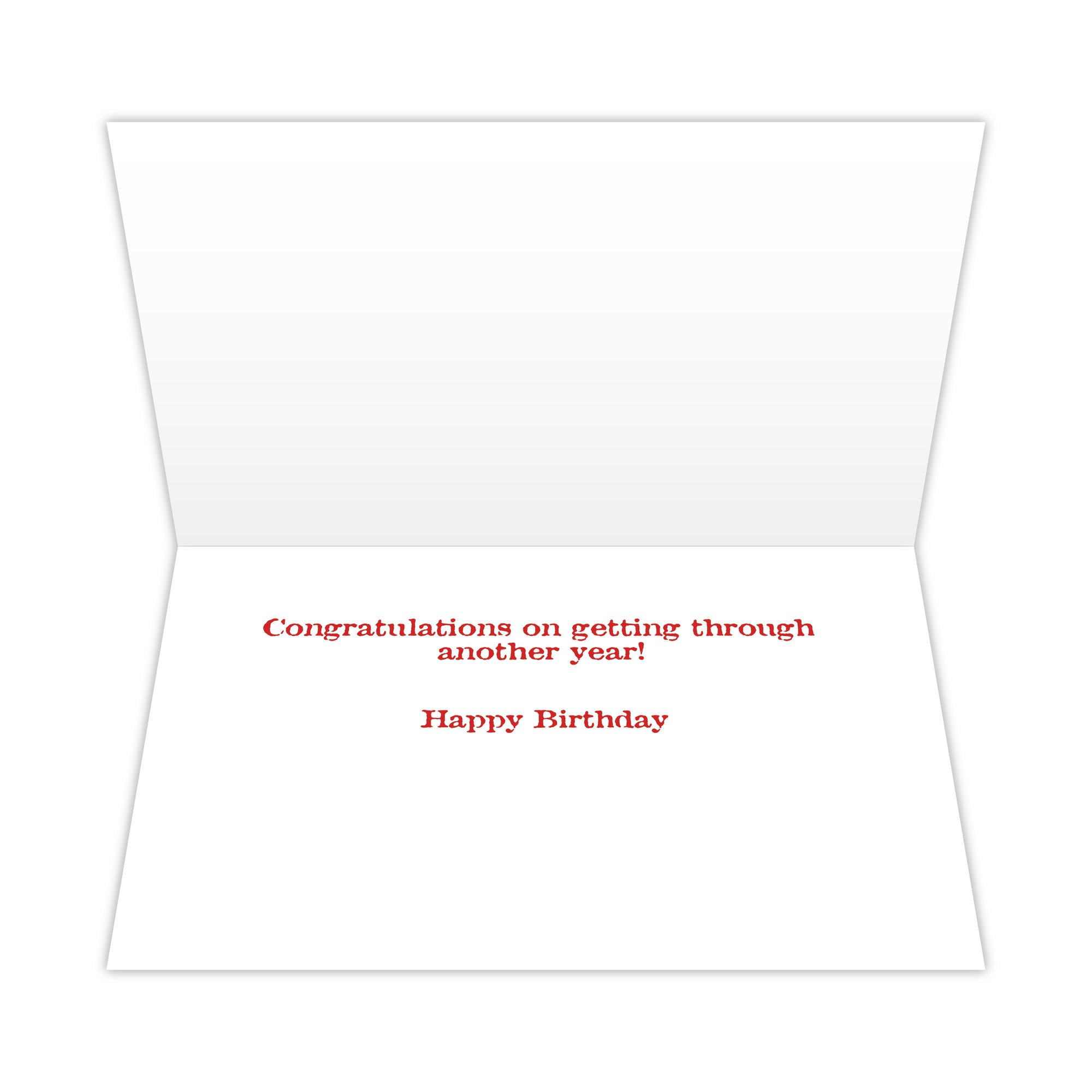 Birthday - Well, this party was a roaring success!