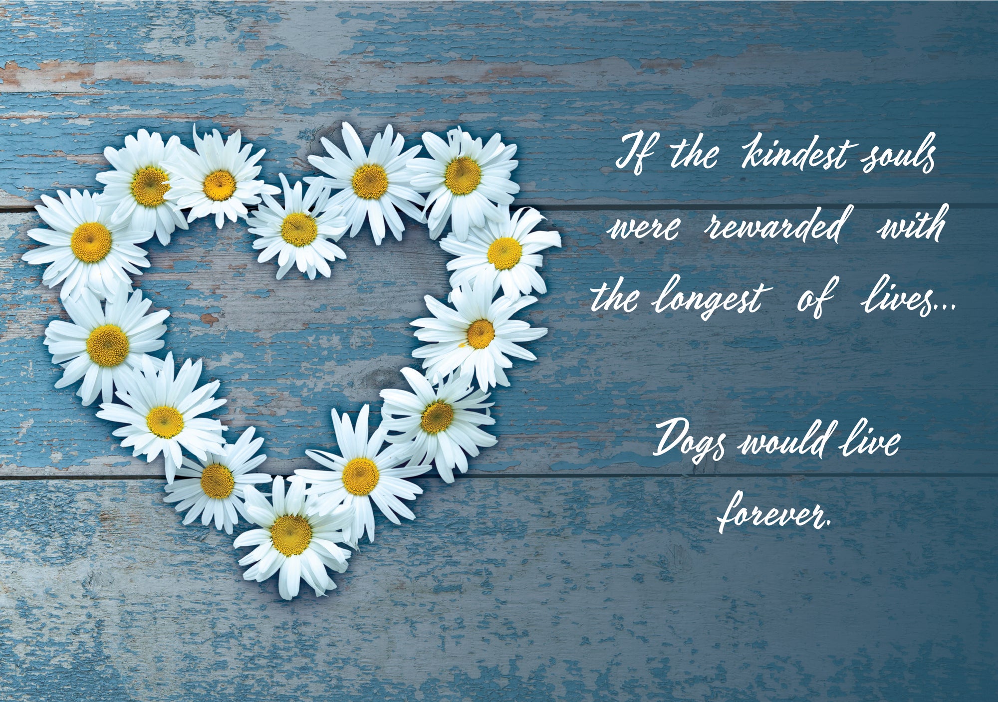 8210 Dog Sympathy Card Front