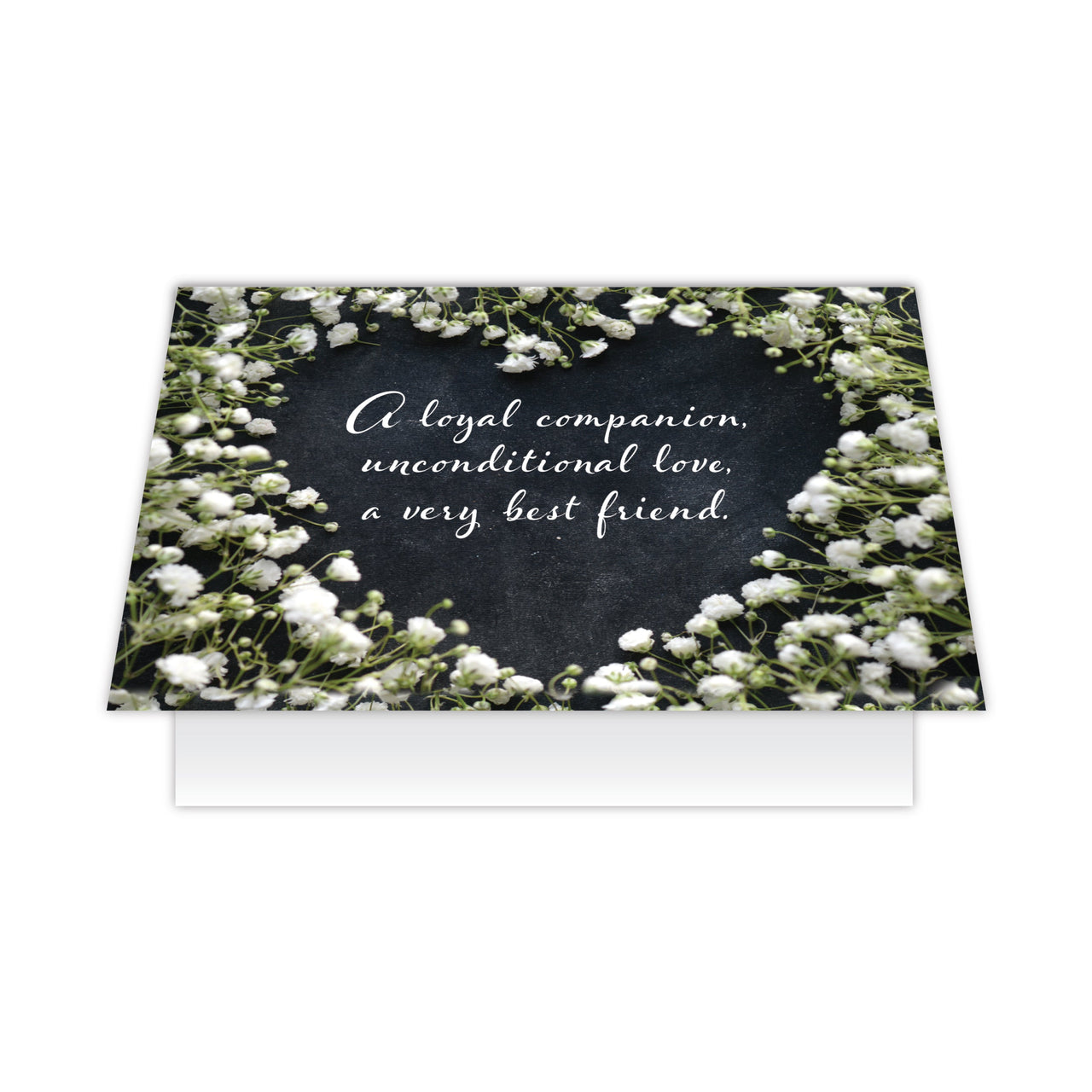 8214 Dog Sympathy Card Front 3D