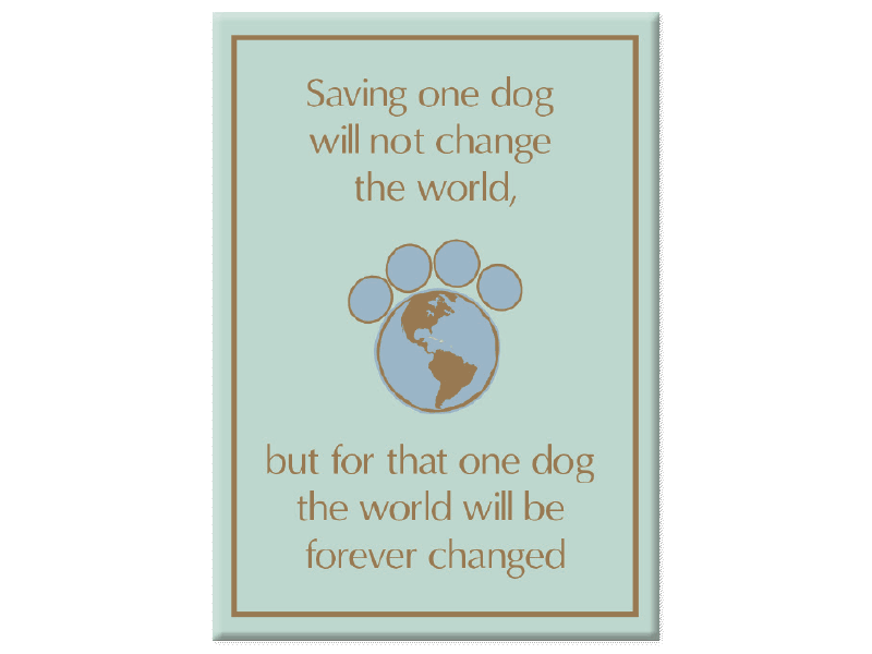 Standard Magnet | Saving One Dog