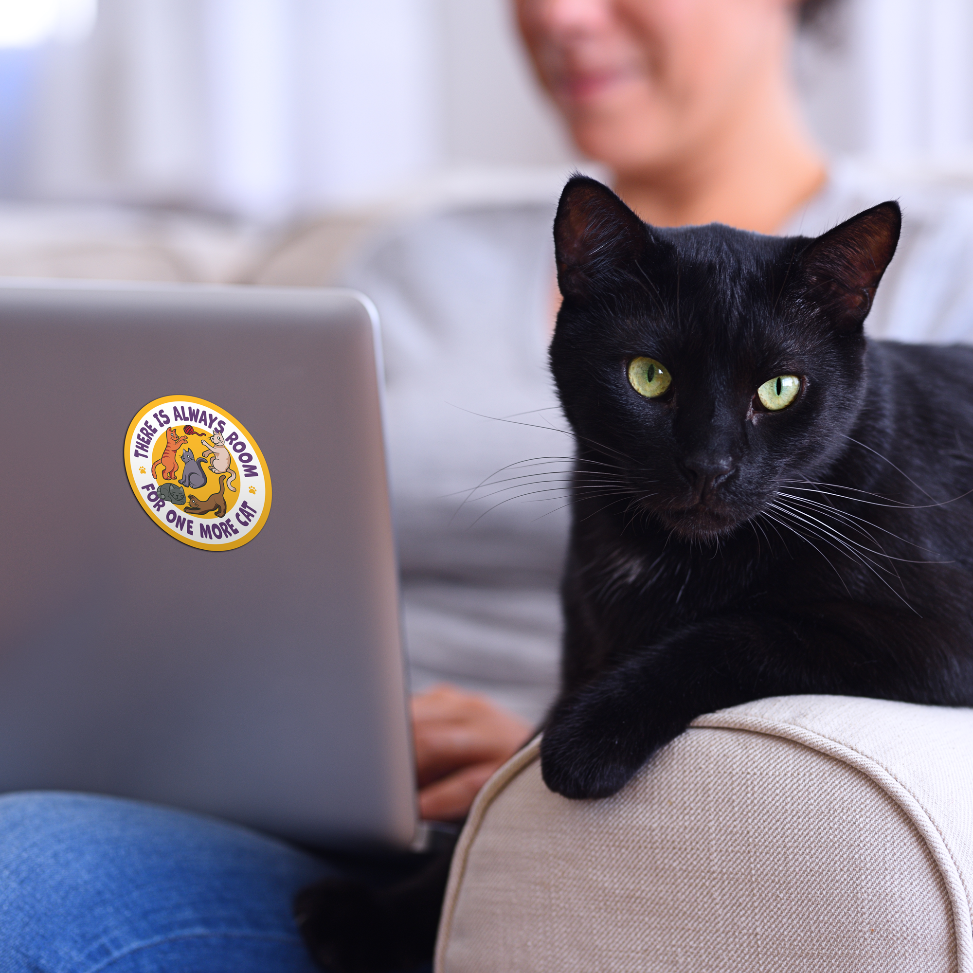 There is Always Room for One More Cat 3” Decal