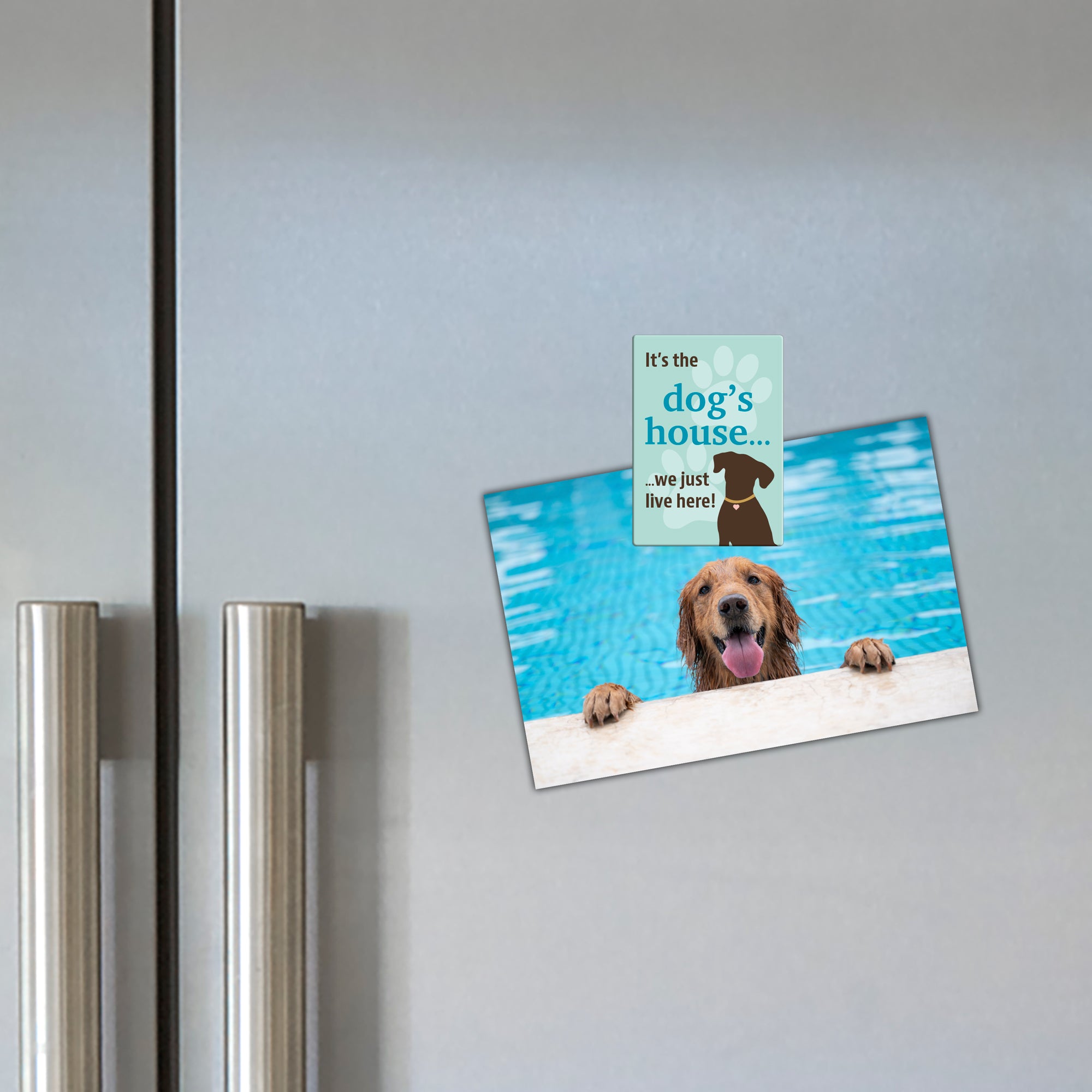 Rectangle Magnet - It's The Dog's House