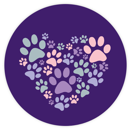Absorbent Stone Car Coaster - Heart Paws