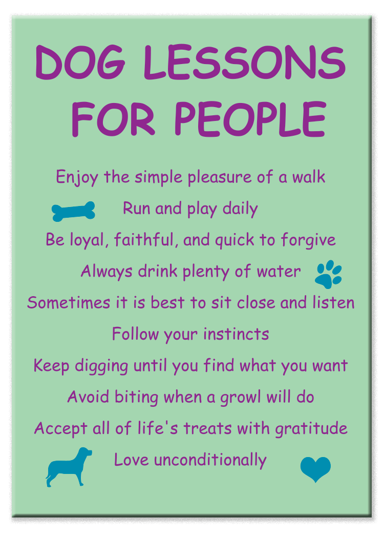 Standard Magnet | Dog Lessons For People